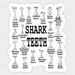 Types of Sharks Teeth Species Marine Biology Sticker